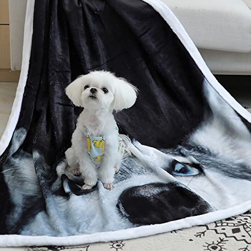 Zevrez Husky Dog Blanket, Cute Husky Gifts Kids Throw Blanket With Dog On It Soft Flannel Blanket Gift For Husky Lovers Boys Girls Sofa Bed(Dog 3, 48"X60") #TOP6