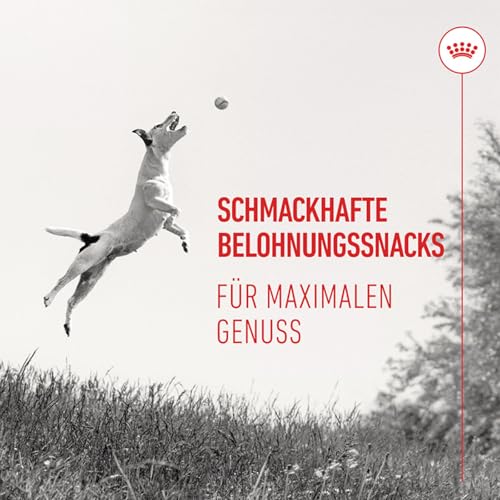 Royal Canin Trainings Treats | 110 g | Snacks für Hunde Aller Größen und Rassen | Im praktischen wiederverschließbaren Beutel | Ab dem 6. Lebensmonat | Mit Geflügelprotein