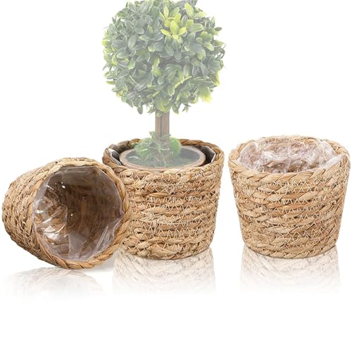 Cesta Para Plantas - 3 Piezas Impermeable Con Forro Impermeable | Macetas Para Exterior,Para Patio Porche Porche Delantero Exhibición Exterior Plantación Árbol Centro De Mesa Suelo Escritorios
