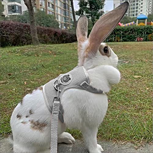 Verstellbares Kaninchen Leine und Geschirr Set, Haustier Zubehör für Häschen Katze Little Pet Walking, 27-35 cm, 1,20 m