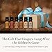 P&J Trading Fragrance Oils for Diffusers for Home Gentlemen's Set Fragrance Scents for Candle Making - Soap Making Supplies - Car Diffuser Scents - Essential Home Gift Set - Cedar, Sandalwood & More