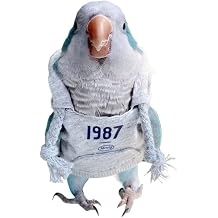 Bird Sweater with 1987 Print, Pet Parrot Apparel, Gray 2M