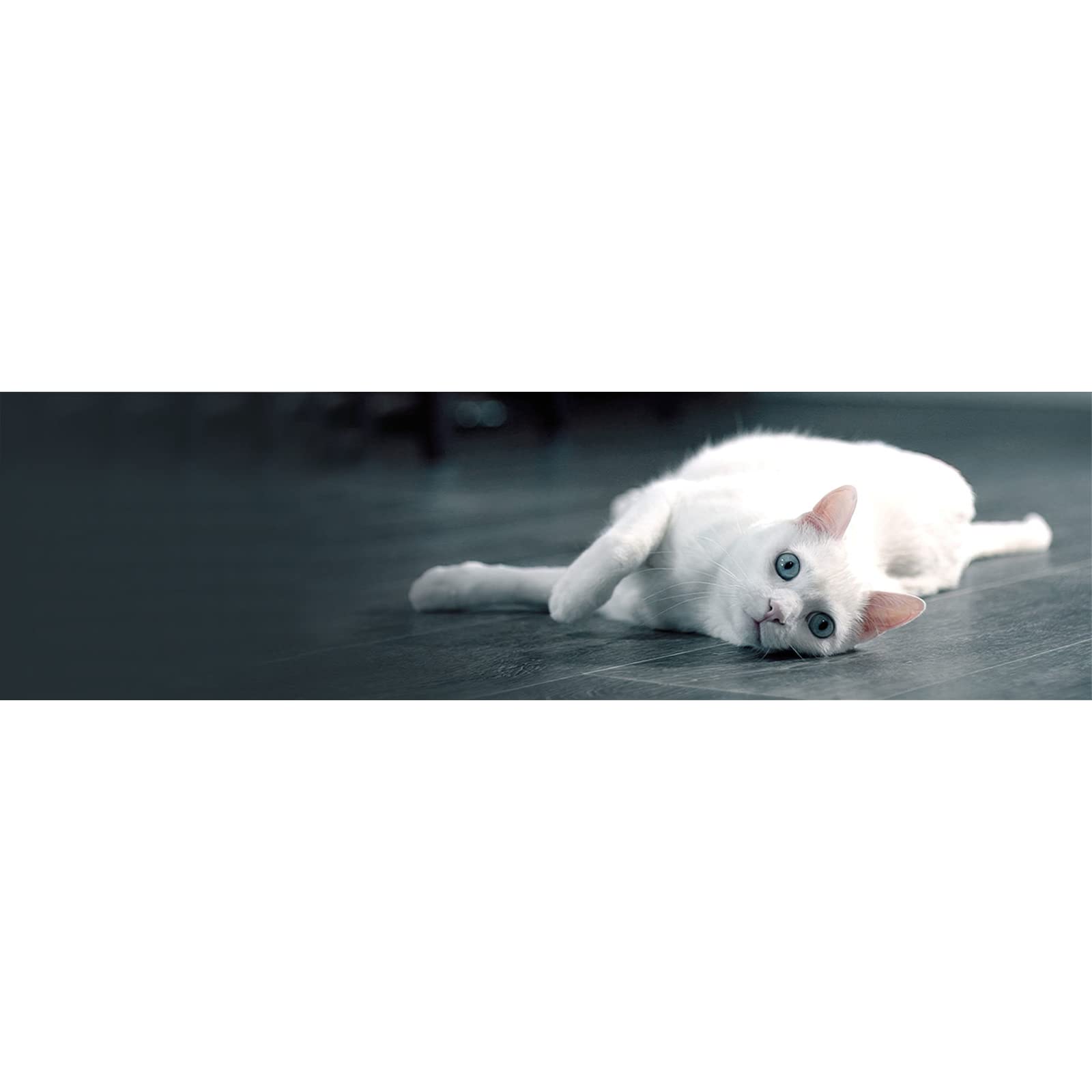 Miamor Kissies Katzen Snack - Extra Weich Mit Ente, Getreidefrei 8x50g