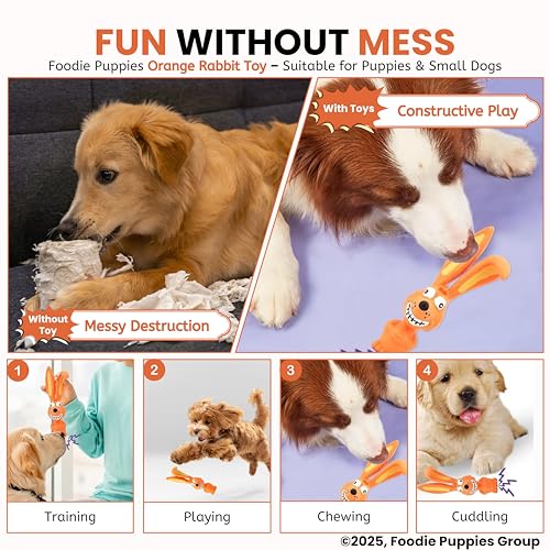 Image of Foodie Puppies Natural Latex Rubber Squeaky (Orange Rabbit, 17cm) Dog Toy | Small to Medium Dogs & Puppy | Durable, Animal Design, Fetch & Chew Safe Play Toy | Reduce Separation Anxiety