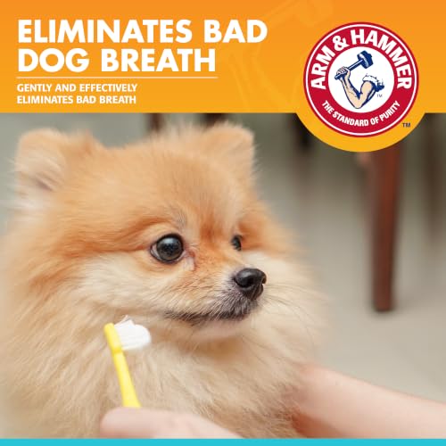 Image of Arm & Hammer for Pets Fresh Breath Enzymatic Dog Toothpaste Vanilla Ginger Flavor Baking Soda Dental Gel Eliminates Bad Breath Safe Puppies Adult Dogs Daily Use 2.5 OZ 2 Pack Dogs and Puppies