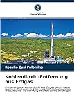  Kohlendioxid-Entfernung aus Erdgas: Entfernung von Kohlendioxid aus Erdgas durch nasse Wäsche unter Verwendung von Natriumverbindungen