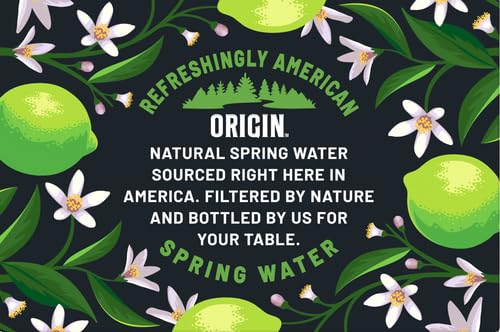 Origin Organic & Non-Gmo Lime Flavor Sparkling Water thumb #18