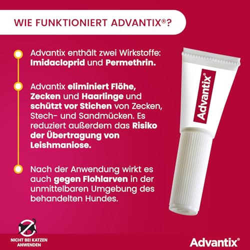 ADVANTIX Sparset: Elanco Spot on für Hunde 25 kg - 40 kg, Schutz vor Zecken & Flöhen, wehrt Mücken & Stechfliegen vor dem Stich ab – Schutz für Urlaub & Alltag, Wirkung bis zu 4 Wochen, 2x4 Pipetten
