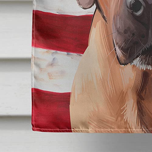 Drapeau Broholmer de luxe Caroline's Treasures CK6463CHF multicolore - 6