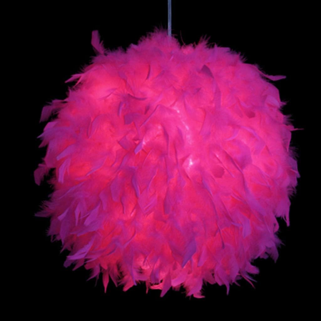 White Feather Ceiling During Light Shade,Luxury Ball,Floor Lamp Decorative Shade for Living Room Bedroom Children's Kitchen C Diameter45cm(18inch) Decoration