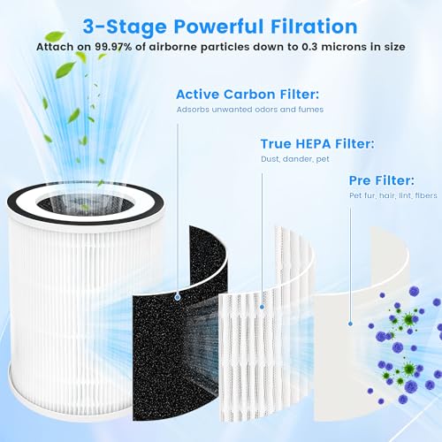 Image of 2 Pack True HEPA Kilo Filter Replacement for Afloia Kilo, KILOPLUS, KILOPRO, MIRO, MIRO PRO and MORENTO MR-Kilo, Kalo, H13 True HEPA Filter, 360 3-Stage Filtration, Green
