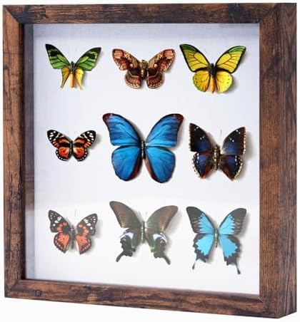 Muzilife 10x10 Shadow Box Picture Frame with Linen Board Deep Wood Glass Display Case Ready to Hang Memory Box Baby Sports Memorabilia, Awards, Medals, Wedding, Tickets and Photos (Grain Gray)