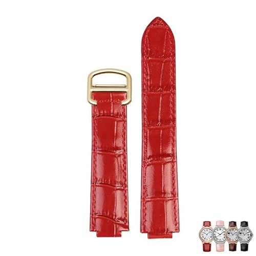 [sooponj] JeBGp u[ o[ ʌ^ rvp{vrvoh Xgbv ANZT[(Red Gold Buckle,20.12mm)