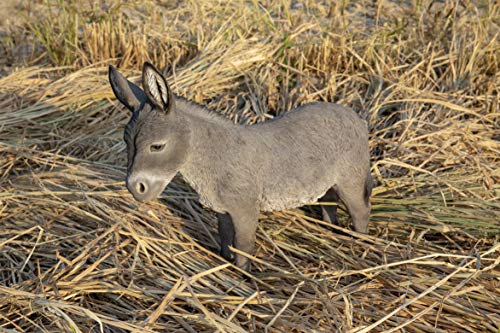 Hi-Line Gift Ltd. Estatua de Burro Gris de pie