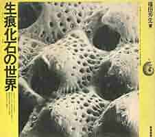 生痕化石の世界 (1981年) | 福田 芳生 |本 | 通販 | Amazon