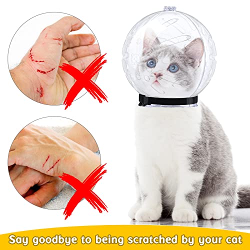 Cat Muzzle Cat Helmet Cat Mouth Cover Helmet Muzzle Pet Grooming Muzzle Cat Adjustable Hood Transparent Breathable Cat Face Mask Cat Grooming Muzzle Mask For Cat Dog Pet Costume Tools (M) #TOP5