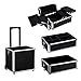 Ollieroo 4 in 1 Aluminum Rolling Cosmetic Makeup Train Cases Trolley Professional Artist Train Case Organizer Box Lift Handle Lock 2 wheel 2 Keys Each Layer Total 8 Keys Makeup Luggage (Black)