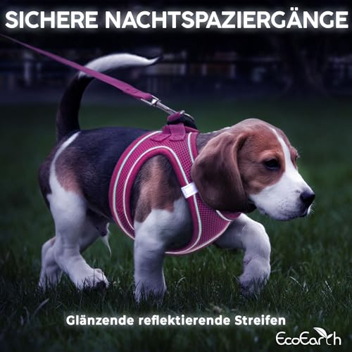 Hundegeschirr + Leine - Klein, Rosa - Weich gepolstert, No Pull Design Haustiergeschirr + Reflektierende Streifen für kleine Hunde - von EcoEarth