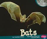 Bats (Nocturnal Animals)