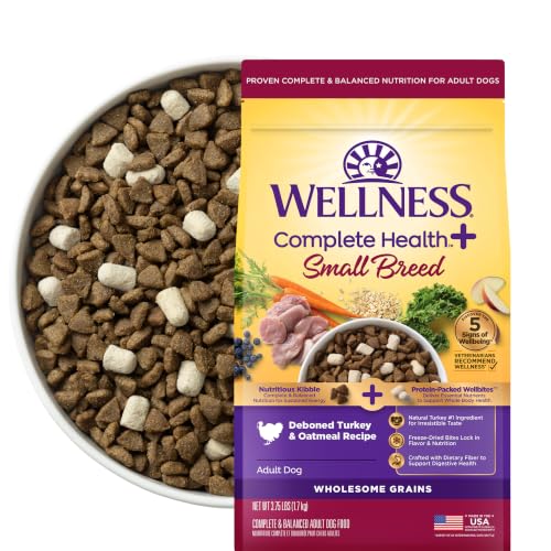 Wellness Complete Health+ Small Breed Adult Dry Dog Food with Freeze Dried Wellbites, Wholesome Grain Kibble+, Natural, Turkey and Oatmeal Recipe, 3.75 lb Bag - image 1