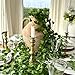 CQURE 36 Pack 252Ft Artificial Ivy Garland, Fake Vines Leaf Garland Green Leaves Fake Plants Hanging Vines Plant Greenery Garland for Bedroom Wedding Party Garden Wall Room Decor