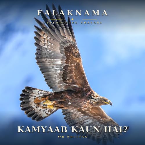 Kamyaab Kaun Hai? - What Really Makes a Life Successful?