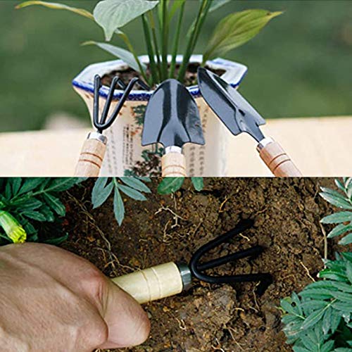 Set de 10 Piezas Herramientas de Jardín SaferCCTV miniatura 6