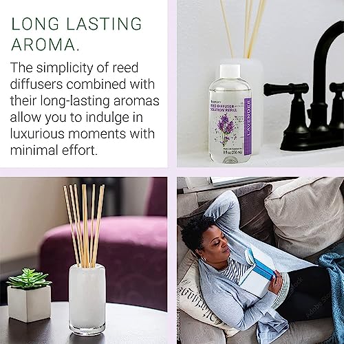 Sparoom Lavender Reed Diffuser Oil Refill, 8.45 Fl Oz – Long Lasting, Easy To Use, Lavender Essential Oil For Liquid Diffuser #TOP3