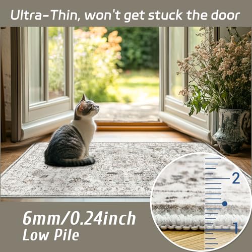 Madane Washable Area Rug 2x3, Small Entryway Rug Non-Slip Vintage Door Mat Indoor Entrance, Low Pile Floor Carpet for Inside Front Door Bedroom Kitchen Entry Laundry (2'x3', Ivory/Brown)