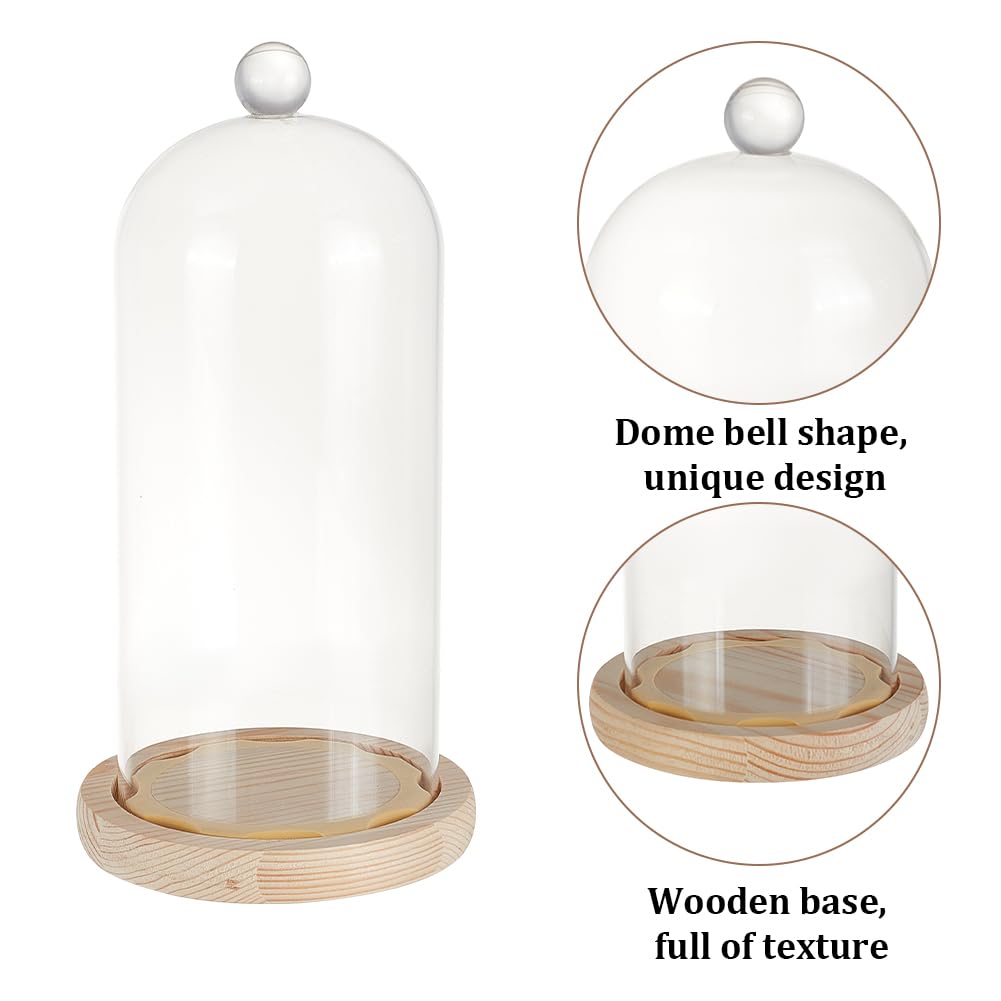 Clear Glass Cloche Decoration Glass Display Dome Cloche With Cork Base ...