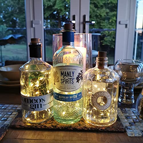 image for Lepro Wine Bottle Lights with Cork, 6.6 ft 20 LED Fairy Lights Battery