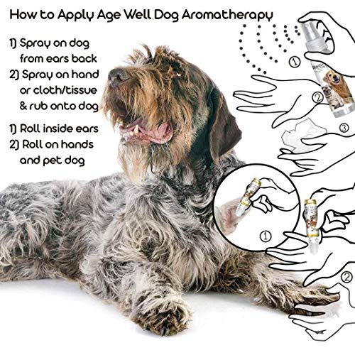 Image of The Blissful Dog German Shorthaired Pointer Age Well Dog Aromatherapy Roll-On Bottle for Your Dog's Peaceful Ageing