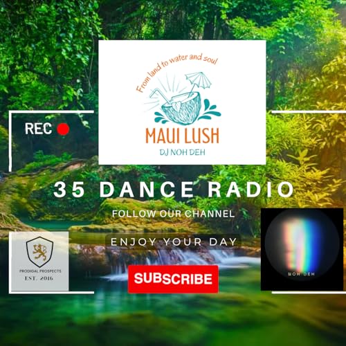 『35 Dance Radio』のカバーアート
