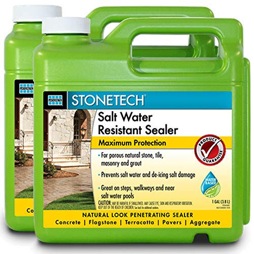 Salt Water Resistant Sealer for Natural Stone & Masonry, 1