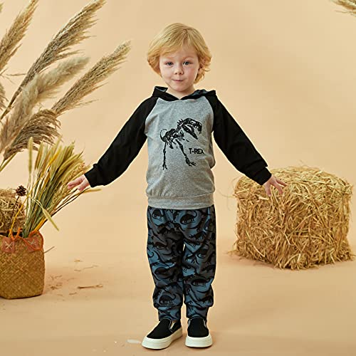 Image of HINTINA Baby Boys Dinosaur Long Sleeve Hoodie Tops Sweatsuit Pants Winter Outfit Set