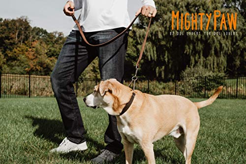 Mighty Paw Martingale Dog Collar - No Pull Design - Stainless Steel Chain - Limited Chain Cinch Training - Brown Leather Martingale Training Collar - Large Size - Image 5