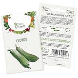 🌱 GEMÜSESAMEN AUS DEUTSCHLAND: zertifiziertes Premium Salatgurke Saatgut. Ganz einfach Gurkesamen anbauen. Auch als Gemüsesamen Sortiment mit weiteren Sorten im OwnGrown Gemüse Garten Set erhältlich