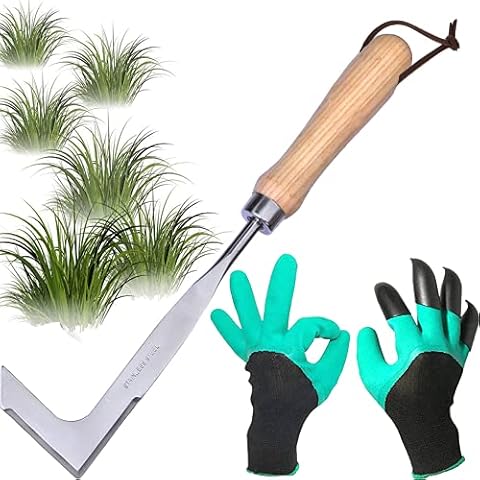 cygjing Fugenkratzer Unkrautmesser Edelstahl,Fugenkratzer mit Stiel,Fugenkratzer Unkraut Garten,Fugenreiniger Unkrautkratzer Manueller Weeder, für Jäten, Lösen, Geschenk für Gärtner Cover