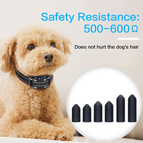24 Pcs Dog Shock Collar Rubber Tips,Training Collar Replacement Parts Silicone Covers Dog Collar Covers Training Rubber Tips Column Conductive Rubber Sleeve For Pet Dog Training Collars #TOP3