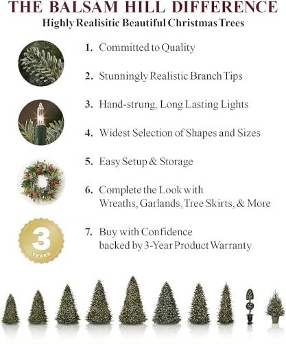 Balsam Hill 9.5Ft Prelit Twinkly Led String Lights Classic Blue Spruce Artificial Christmas Tree thumb #7