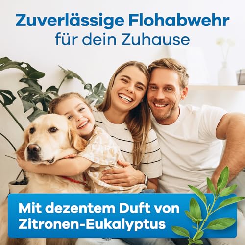 Gerobug Floh-Spray für Wohnung & Umgebung 500 ml mit Sofort-Effekt - Hochwirksames Mittel gegen Flöhe bei Hunden und Katzen - Starke Alternative zu Fogger gegen Flöhe