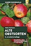Alte Obstsorten: Schnittbilder, Stein- und Samenabbildungen in Originalgröße (Farbatlanten)