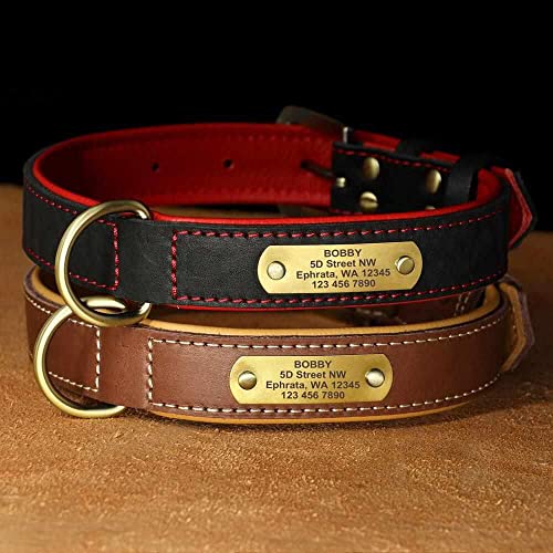 mypfote.com Exklusives Leder Hundehalsband mit großer Gravurplatte und gratis Gravur von Name und Telefon, für mittlere und große Hunde Braun/L 43-55cm