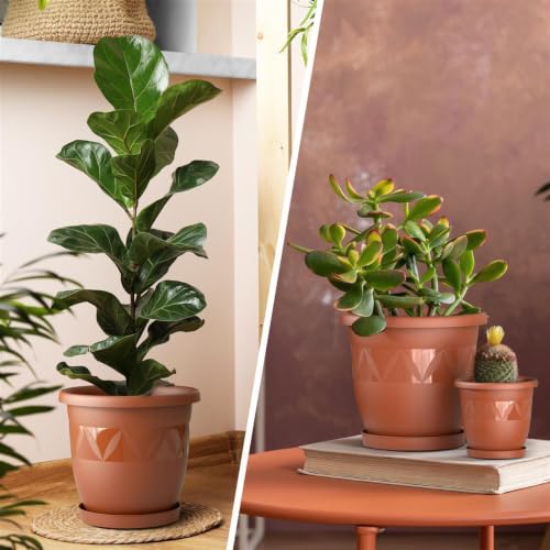 Plastard Blumentopf Ø 35 cm mit Untersetzer rund – Terrakotta – Pflanzkübel – Ansicht 5