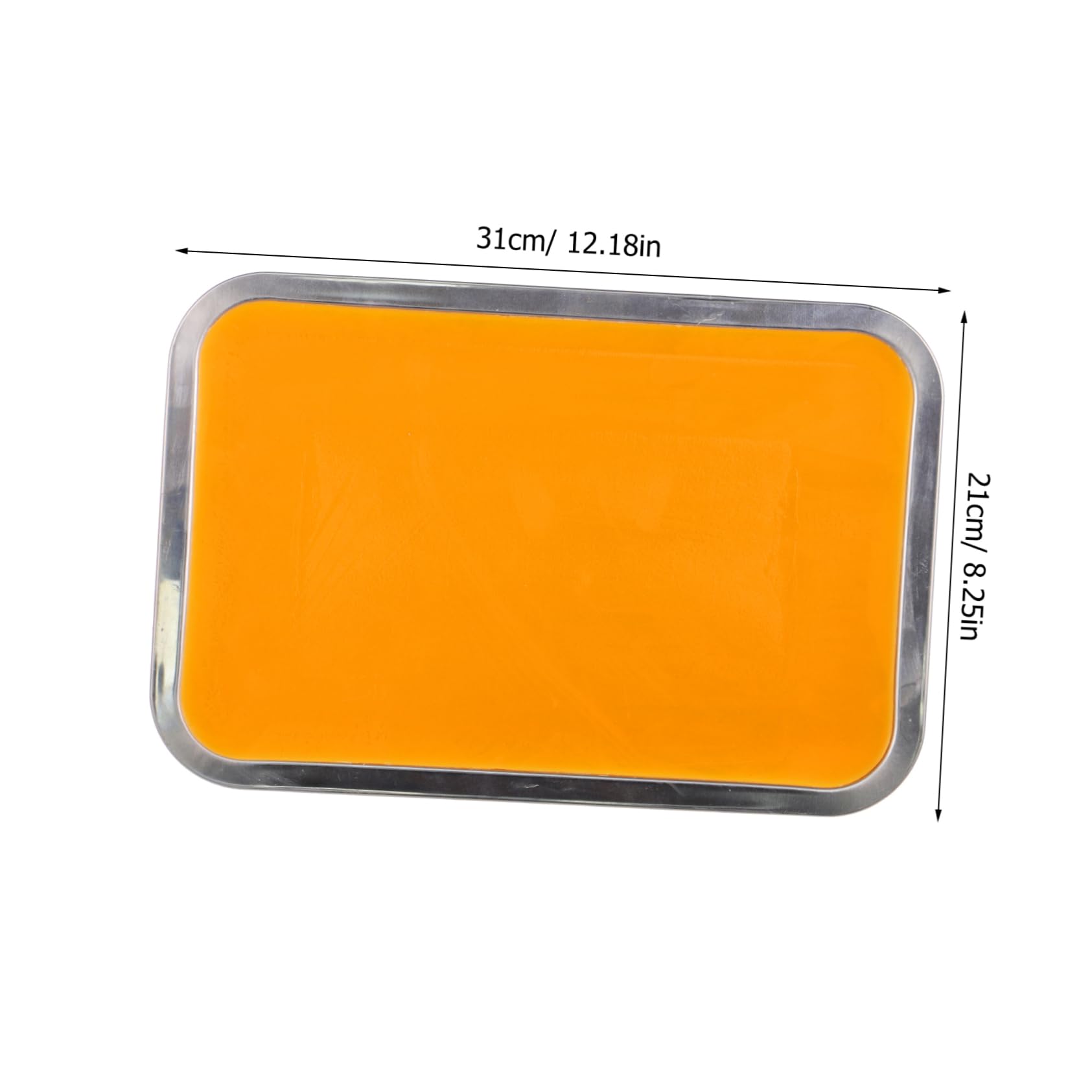 Cabilock Vassoio di Dissezione 21x31cm con Cera in Acciaio Inossidabile Adatto per Dissezione Anatomica e Uso Didattico