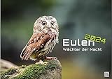 uhu eule kauz unterschied 🦉 BESTSELLER: ein wunderschöner Premium Kalender über die Wächter der Nacht. Fantastische Fotos zeigen Eulen in Ihrem Alltag. Wandkalender zum Aufhängen im Format DIN A3 (42 cm x 29,7 cm).