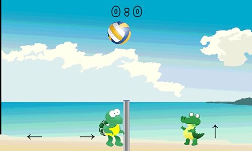 volleyball 20