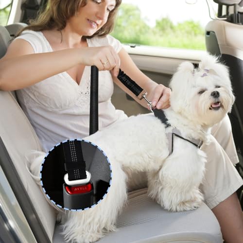 Diompirux 2er-Pack Premium Hunde Anschnallgurt, Sicherheitsgeschirr Hund mit Universelle Schnalle, verstellbares Hundesicherheitsgeschirr, für alle Kleine, Mittlere Hunde, Katzen und Alle Autotypen