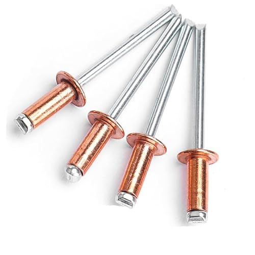 M2.4 M3.2 M4 M4.8 Rivetti ciechi in rame Testa T2 Chiodi a strappo in rame Tipo aperto Chiodi a testa tonda in rame a testa tonda GB12618.520-M2.4,5mm (20 pezzi)
