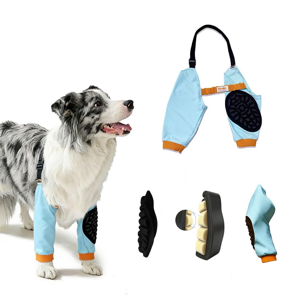 Photo 1 of calmoomer Dog Elbow Brace - Front Leg Protector (Blue, 2XL)